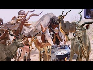 LIVING IN THE JUNGLE : HOW HADZABE TRIBE SURVIVE WHEN IN THE WILDERNESS