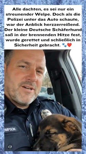 Versteckter Welpe auf dem Parkplatz – Polizisten retten ihm rechtzeitig das Leben 🐾❤️ #shortvideo