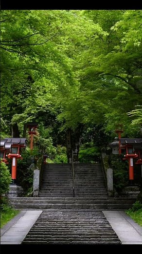 【京都】鞍馬寺から貴船神社へ｜山道に広がる非日常の景色Kurama to Kibune Hike｜Hidden Mountain Path in Kyoto
