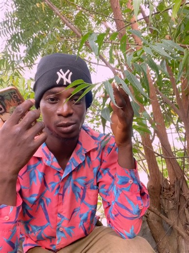 Hilarious Call Prank That Will Make You Laugh Out Loud