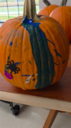 Cloverleaf Healthcare on Reels