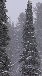 3.2K views · 43 reactions | Ready for more pow turns? ❄️ The storm is on its way and set to drop around 15+ inches by end of day tomorrow. It’s time to gear up and chase those spring laps—this storm is one you won’t want to miss! See you on the mountain! ⛷️ Link below for tickets. https://powdermountain.com/tickets/powder-mountain-tickets #powdermountain #skiing #snowboarding #skiutah | Powder Mountain | Facebook