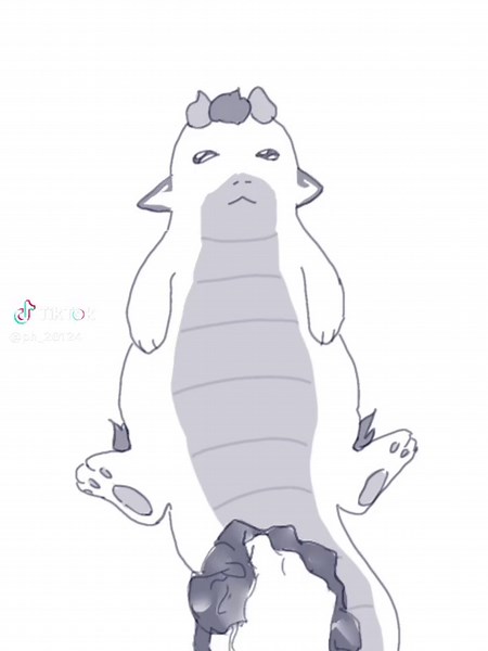 Wash the Pork Belly for Delicious Cooking