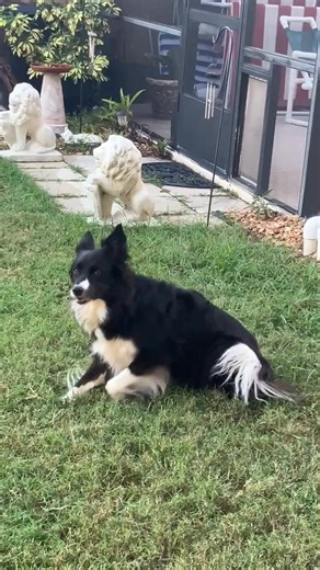 Tom Williams on Reels | Facebook