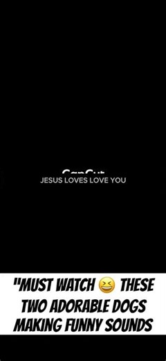 #FunnyDogs#DogSounds#2CuteDogs