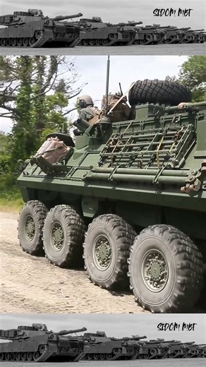 Marines 2d LAR Break Through Water Obstacles!