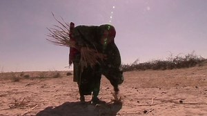 Alarm over deadly food crisis in Africa