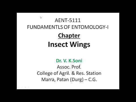 Insect wings: Structure, Venation, Modification and Wing Coupling apparatus