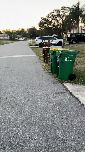 Incredible Thanksgiving Miracle with a Turkey