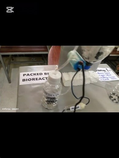 Packed bed Bioreactor #biology #chemistry #science #education #biochemical#3D working models