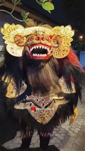 Dek Bind Dicium Barong Macan Galak‼️ #barong #barongan #cium #galak #macan #bali #bind #kiss