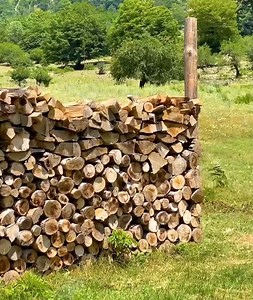 57K views · 1.8K reactions | Love of Life - The best Outdoor Cooking | Love of life | Facebook