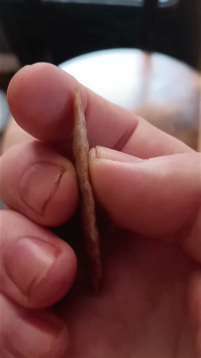 my best arrowhead find #arrowheads #ancientrelics #arrowheadhunting #artifacts #relics