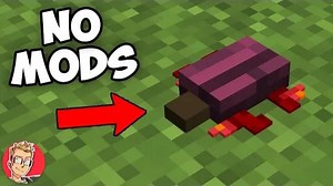 57K views · 544 reactions | 23 Unfamiliar Things in Minecraft You Did...