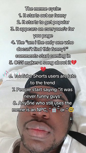 Understanding the Meme Cycle: How Trends Evolve Online