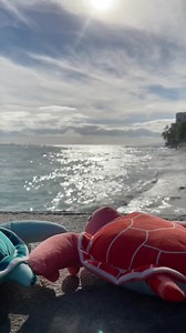 65K views · 6.2K reactions | 7月からホノルルへの定期便にエアバスA380型機 「FLYING...