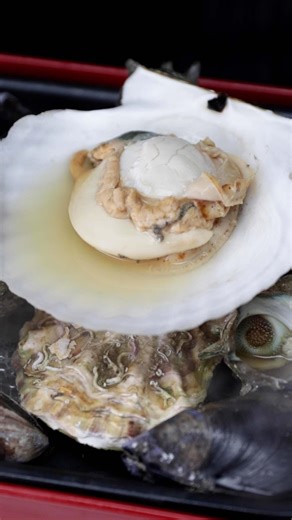 Tasty Japan-人気No.1簡単料理・幸せレシピ on Instagram: "【絶対うまい】築地の新鮮な貝を酒蒸しにしてみた / Steamed Shellfish @tastyjapan 他のレシピもチェック！ 2〜3人分 材料： ホタテ 適量 かき 適量 ムール貝 適量 サザエ 適量 A水 大さじ3 A酒 大さじ3 しょうゆ お好みで 作り方： ① 貝類は水でよく洗う。 ② ホットプレートに①の貝を並べて、Aを入れる。 ③ ②に蓋をして10分ほど加熱したら、完成！。 === Steamed Shellfish Servings: 2 to 3 INGREDIENTS Scallops, as needed Oysters, as needed Mussels, as needed Turban shells, as needed A 3 tablespoons water 3 tablespoons sake Soy sauce, as you like PREPARATION 1. Rinse well all shellfish with water. 2. Plac