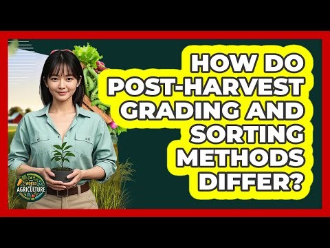 How Do Post-harvest Grading And Sorting Methods Differ? - The World of Agriculture