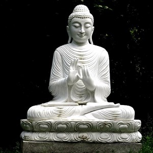 How to Manage Store Display and Keep Track of Large Coin Collection & Supplies