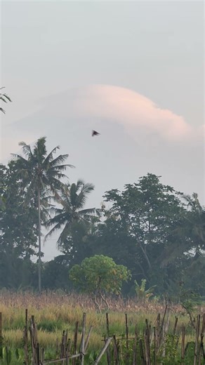 The Peak of Merapi is Covered by Clouds
