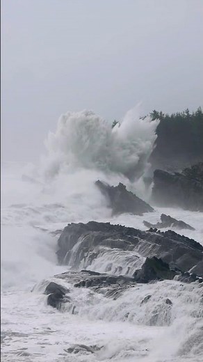King Tide at Shore Acres, Coos Bay, Oregon #waves #Kingtide