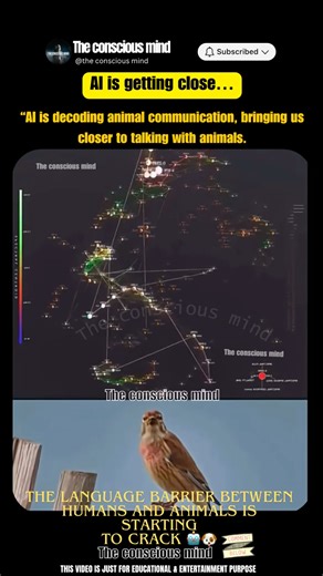 AI Is Unlocking Animal Languages — Humans May Talk to Animals Soon