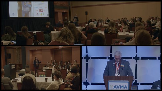 Join us at the 2026 AVMA Veterinary Leadership Conference this January in Chicago - where vision meets action and leaders are made. #AVMAVLC celebrates the spirit of leadership, where every role, every voice, and every vision shapes the future of veterinary medicine. Attendees will explore how forward-thinking leadership can transform animal health and our world through a comprehensive, innovative program of high-quality continuing education. Reimagine what leadership can mean in every corner of