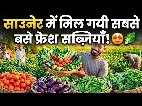 ​Saoner me mil gayi sabse fresh Sabjiya 🥰