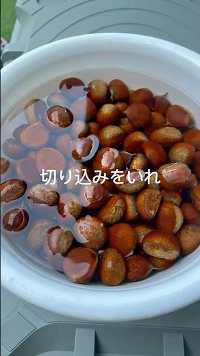 秋！栗！裏技を試してみた！渋皮までスルッとむきたい！#秋 #栗#栗ご飯 #渋皮#裏技#鬼皮#皮剥き#栗の皮剥き