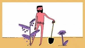 Image of God Biblical Theme