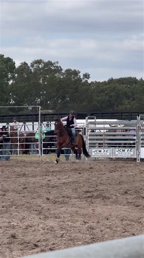 Experience Traralgon Rodeo: A Unique Australian Event
