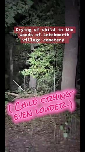 Put your headphones in for this one my friends. Child crying in the woods of Letchworth Village Cemetery #tiktoklive #livehighlights #paranormal #cemetery #spiritbox