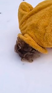 138K views · 9.1K reactions | Snow ❄️ | Isabelle Arnaud | Facebook