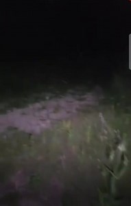 From the screaming Woods the orb you all saw....interesting ...deff not a bug ..wait near end | Retford Ghost Hunters Uk