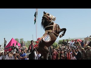 🐎 Horse Dance At Pushkar Fair /Mela – Rajasthan India