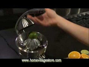 Breville Electric Citrus Juicer