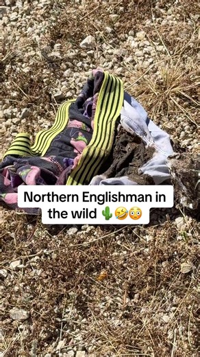 The Northern Englishman: A Humorous Take on Sunlight