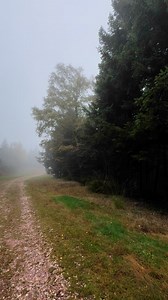 Japanese American National Museum on Reels