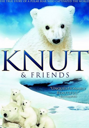 Knut & Friends streaming: where to watch online?