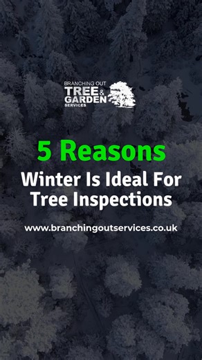 Winter is one of the most effective times to carry out tree inspections. Without dense foliage, arborists can clearly assess structure, identify defects, and spot early signs of decay or weakness. Inspections during winter allow property owners and managers to plan maintenance safely and avoid unexpected failures later in the year. This applies to both residential gardens and commercial sites with public access or high footfall. 📞 Arrange a professional winter tree inspection with us today. 🌐 