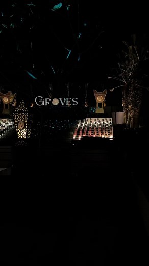 ‏#explore #fypシ #bae #thegroves ✨