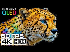 JAW-DROPPING 4K HDR Ultra HD | OLED Dolby Vision – Ultra-Realistic Visual Experience