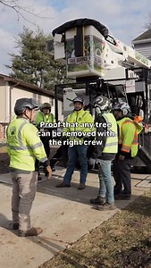 Safely and efficiently too. 💪🏼 Our crew gets together before each job and goes over the plan before each takedown, especially for the big guys. 🌲 With our climber in the air, and a well-rounded crew on the ground, the work comes together seamlessly. Ask us about our winter discounts today & secure a great deal before Spring gets here! ❄️ . . . . . . . #treeservice #treework #treeremoval #treetrimming #treeclimber | Captain's Tree Service LLC