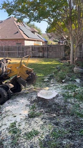 StumpGrinding #TreeRemoval #TreeService #TreeCare #TreeExperts #StumpRemoval #GrindingService | J&J Pro. Tree Service | Facebook