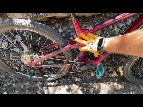 2019 Transition Sentinel: Comprehensive Review