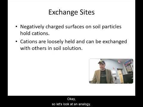 Cation Exchange Capacity Lecture
