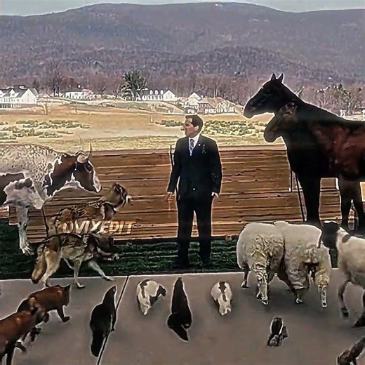 Every Animals Ppl..Love This Man | Evan Almighty (2007) | Headlights feat KIDDO(Slowed)#shorts #edit