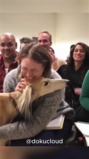 Hunde suchen neue Besitzer – Helfen Sie ihnen!