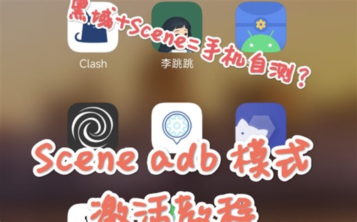 黑域 Scene=自测手机性能？-Scene激活教程