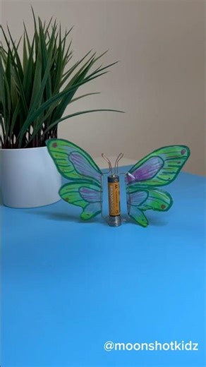 DIY spinning butterfly 🦋. Easy homopolar motor project for beginners #stem #craft #science